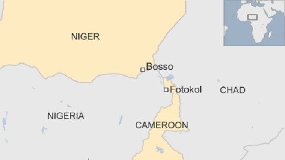 Niger Map_BBC.png